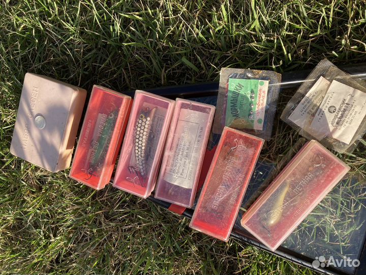 Новая блестна летняя СССР