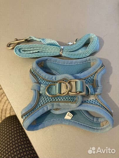Шлейка для котят