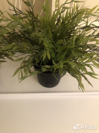 Цветок декоративный икеа