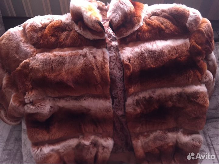 Автоледи шиншилла