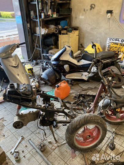 Stels tactic разбор