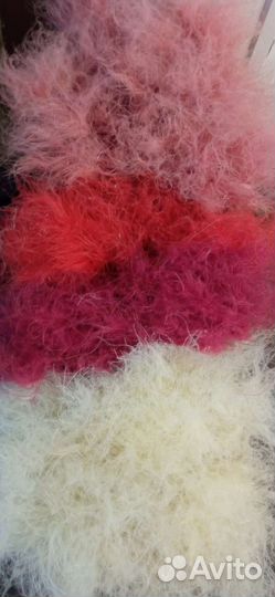 Сухоцветы для флористики