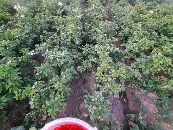 Участок 23 сот. (ИЖС)