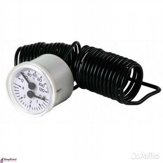 Термоманометр (39814770)