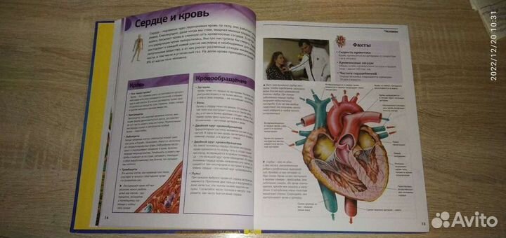 Новая полная энциклопедия школьника