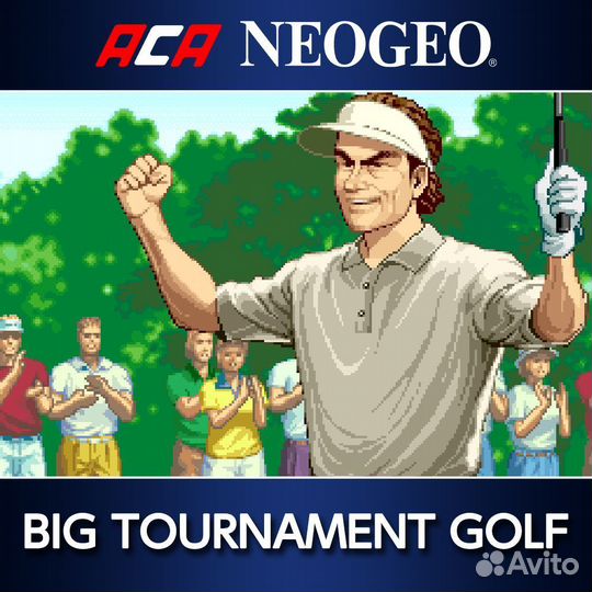ACA neogeo BIG tournament golf PS4/PS5