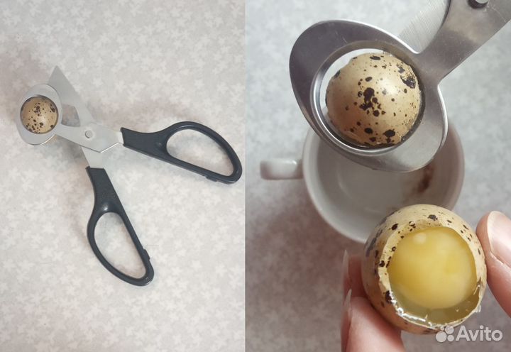 Ножницы, резка - перепелиное яйцо, сигара