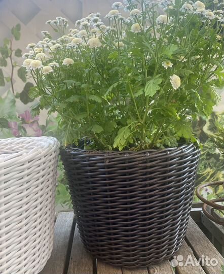 Кашпо для цветов из ротанга