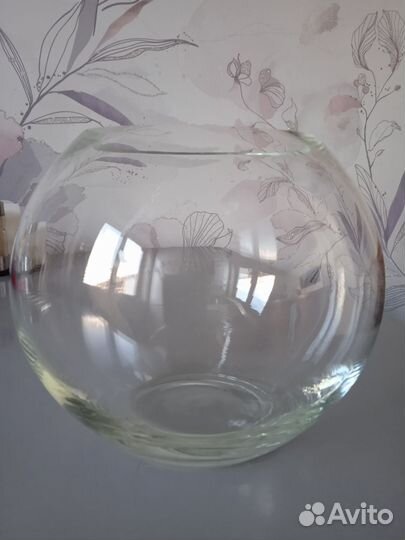 Аквариум для петушка