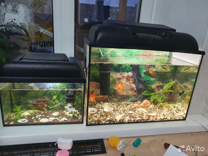 Аквариум