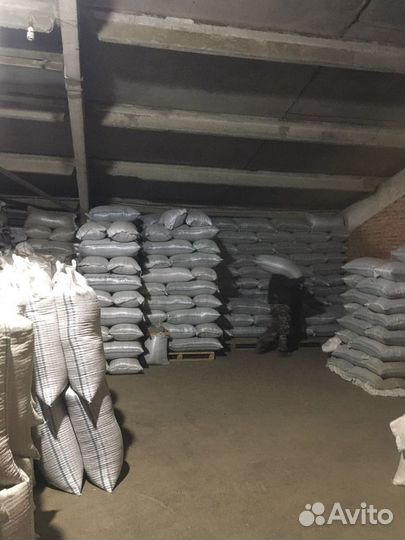 Семена суданки