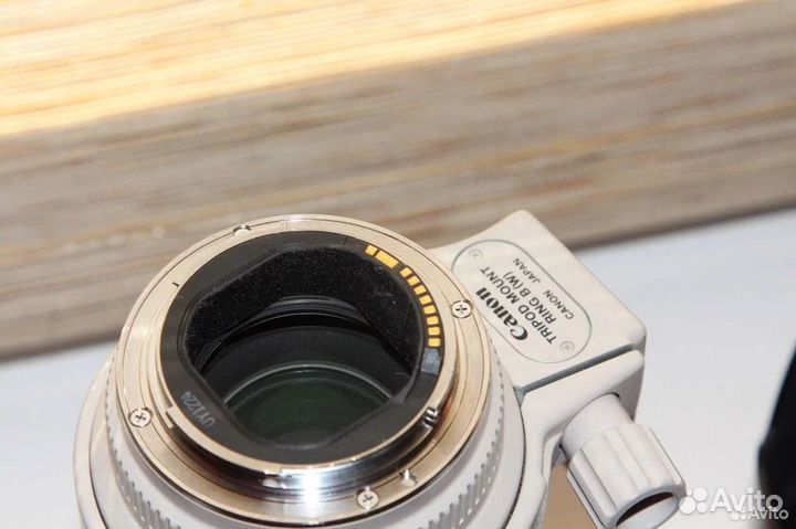 Canon EF 70-200mm f/2.8L USM