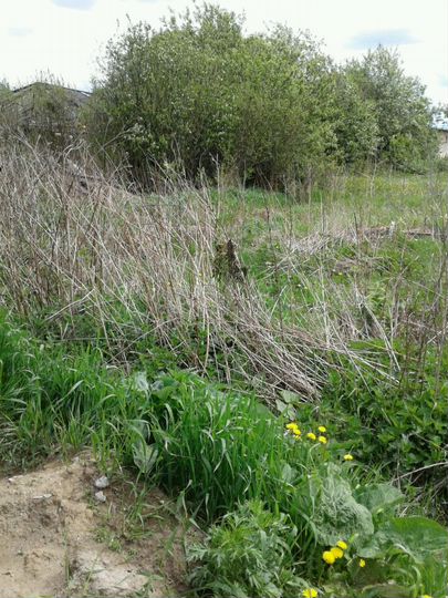 Участок 15 сот. (ИЖС)