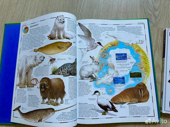 Книги новые.Дорлинг Киндерсли