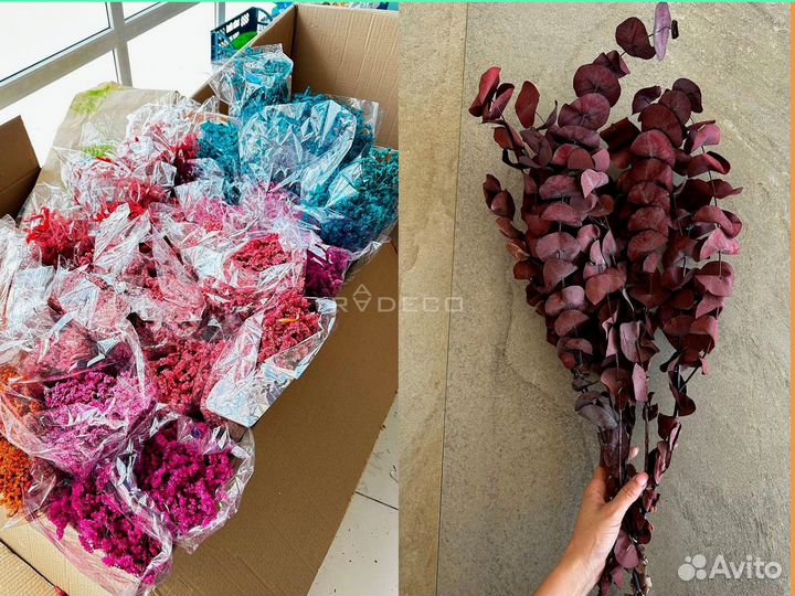 Стабилизированные растения и сухоцветы