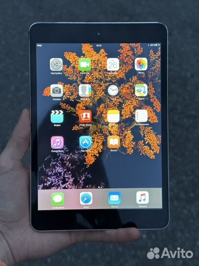 iPad Mini