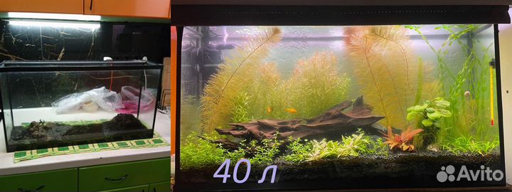 Обслуживание аквариумов