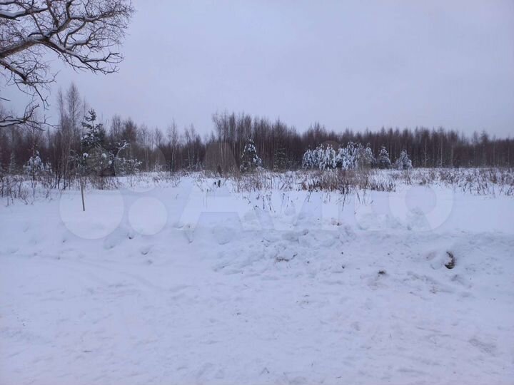 Участок 25 сот. (ИЖС)