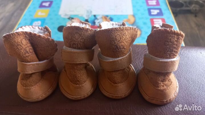 Обувь для маленьких собак