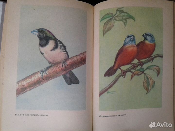 Справочное пособие для любителей птиц