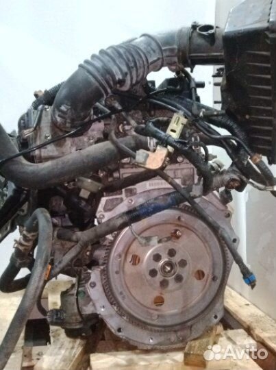 Контрактный двигатель Seba Sewa 2.3 Ford