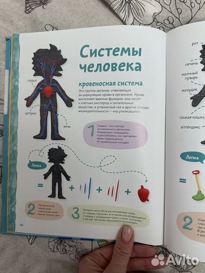 Чевостик, пластилиновая лаборатория