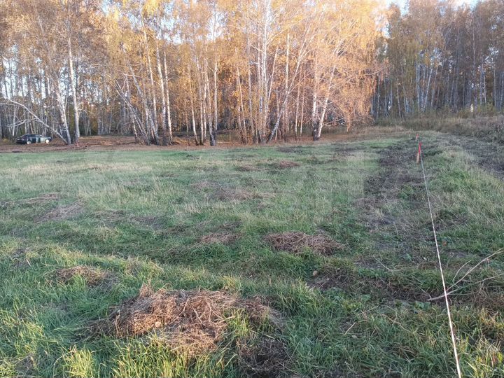 Участок 12 сот. (ИЖС)