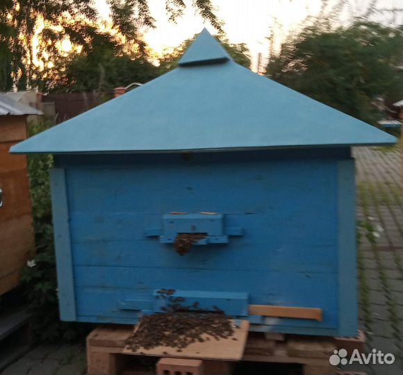 Ульи б/у, пчелы Карпатка, пчелопакеты