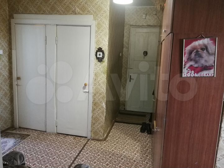 3-к. квартира, 65,5 м², 2/3 эт.