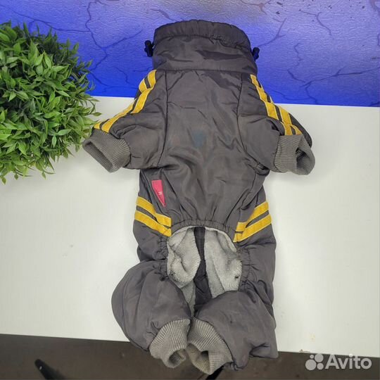 Комбинезон для маленькой собаки размер M