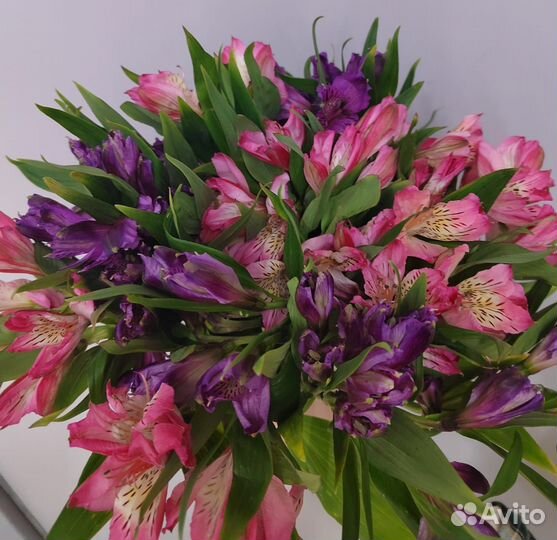 Живые цветы букеты