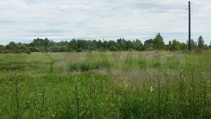 Участок 6 га (СНТ, ДНП)