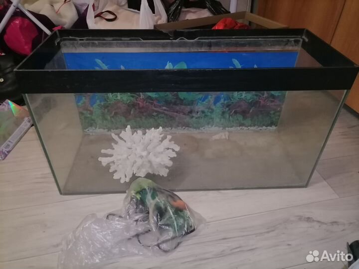 Аквариум