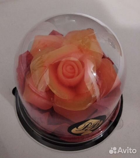 Роза в куполе