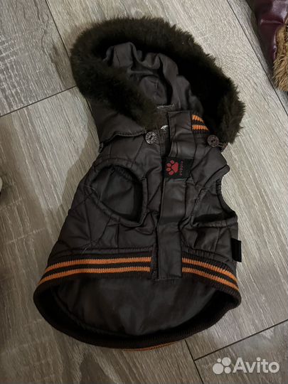 Курточки на маленькую собачку