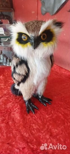 Модель сова