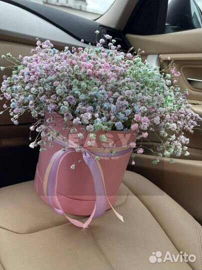 Гипсофила цветы с достакой