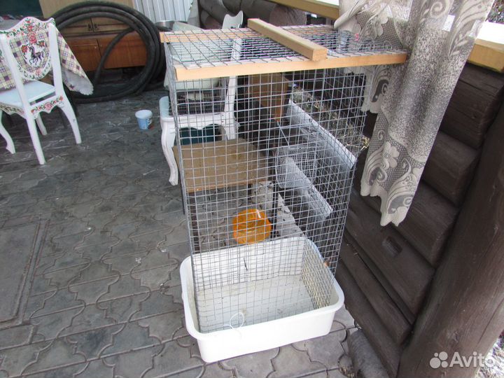 Клетка для крыс