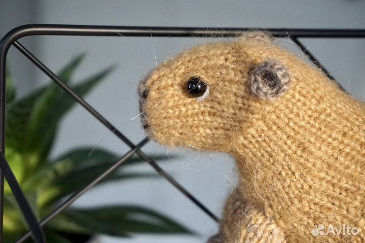 Вязаная игрушка капибара
