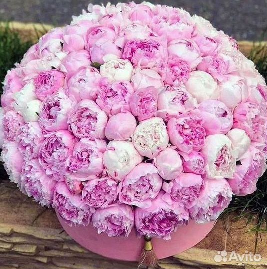 Пионы Букет