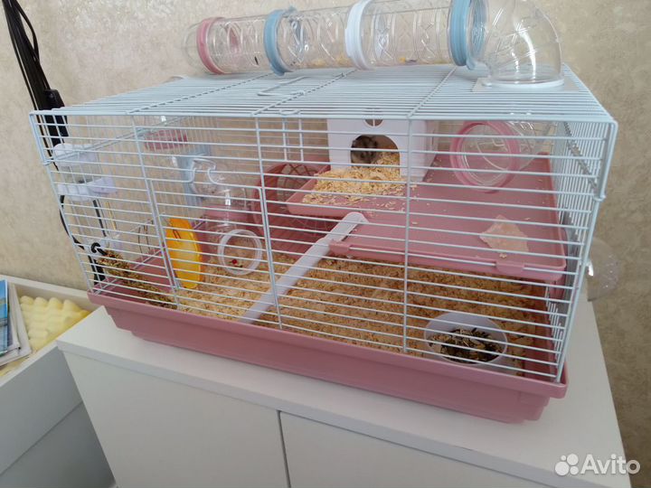 Хомяк с клеткой
