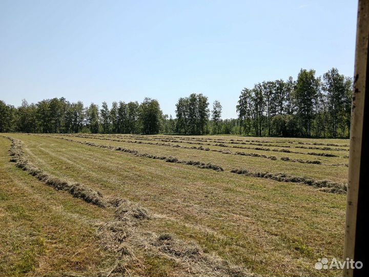 Сено в рулонах
