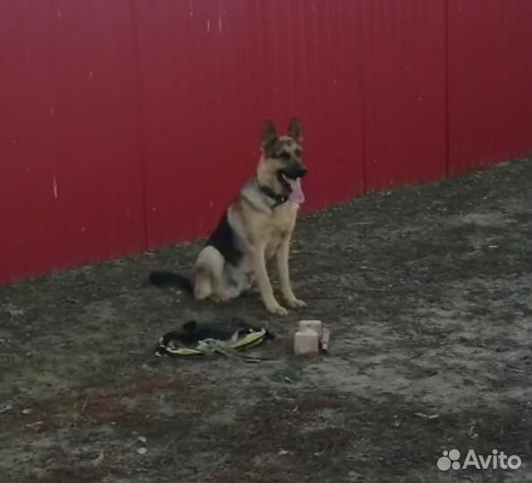 Кабель вязка