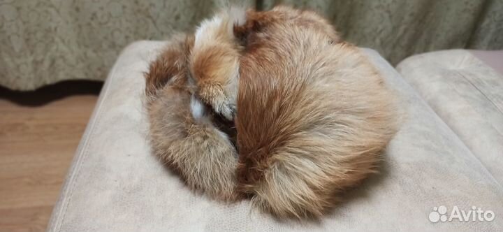 Шапка лисья