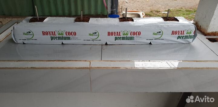 Какосовый субстрат royal coco premium