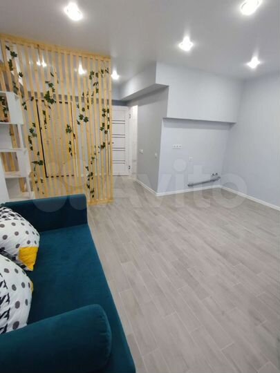 Квартира-студия, 24,9 м², 1/12 эт.