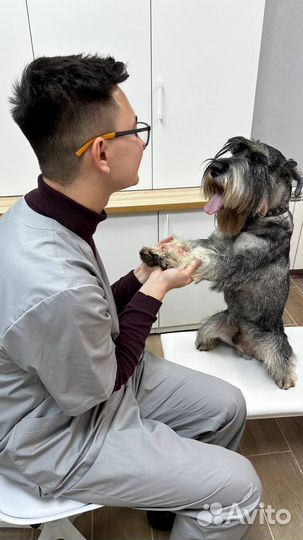 Ветеринарный врач