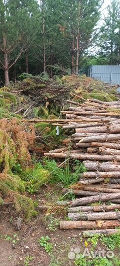 Щепорез дробилка, измельчитель древесины, веток