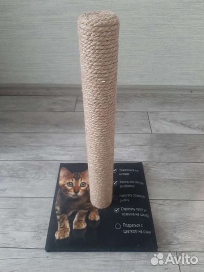 Когтеточка