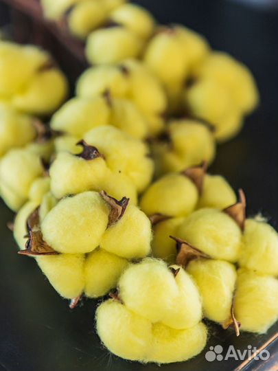 Букет хлопок